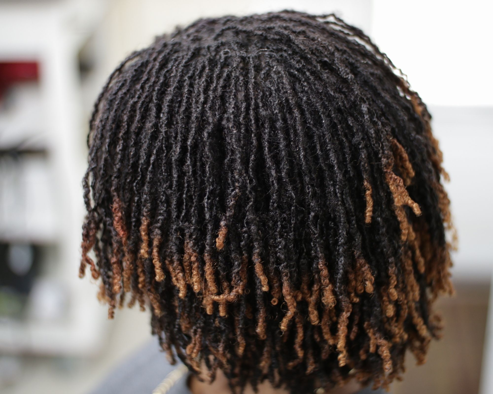 Entretien de locks naturelles